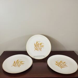 Cream and Gold Decorative Dinnerware Plates